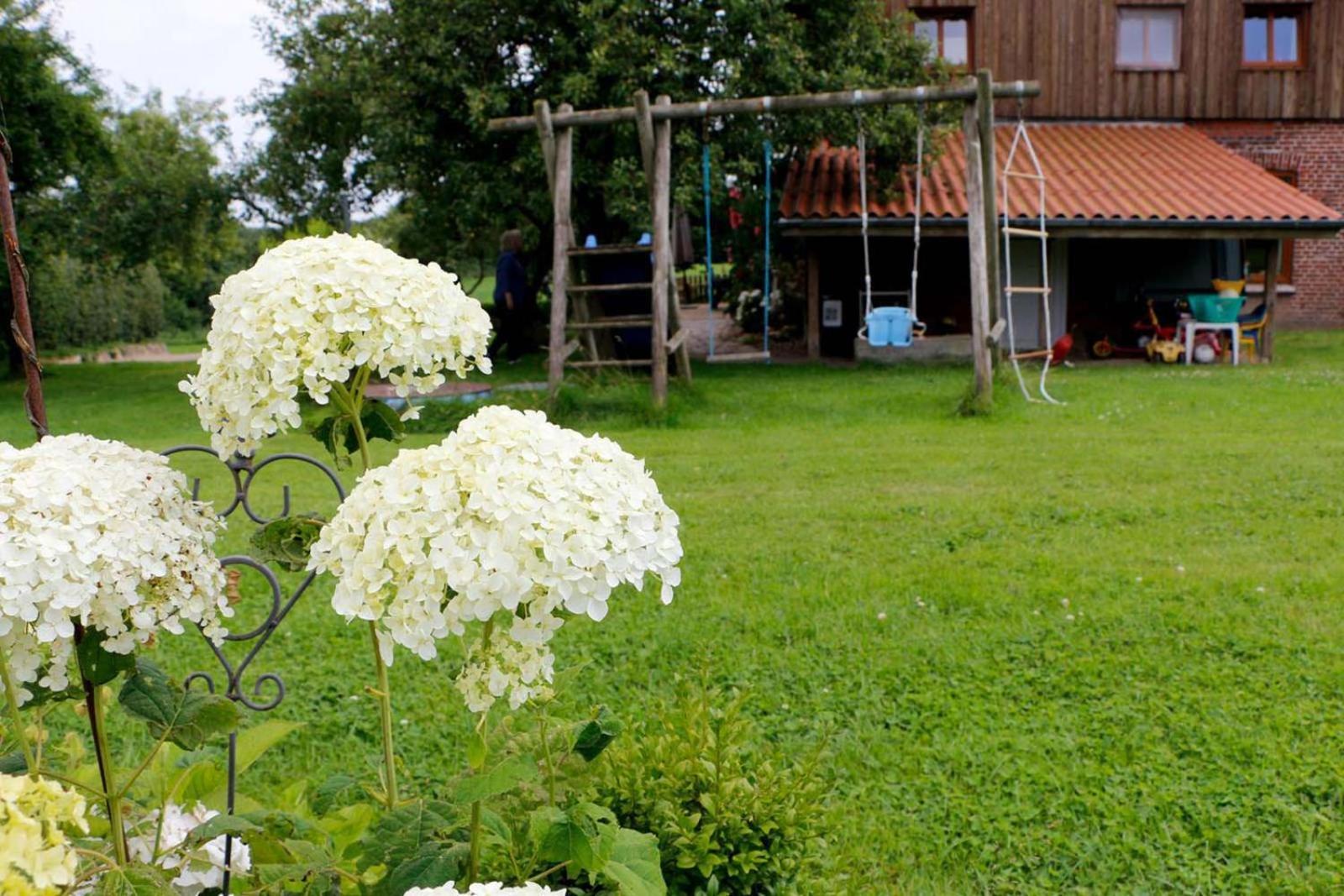 Dornroeschen Lägenhet Scheggerott Exteriör bild